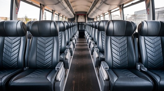 15 passenger minibus interior