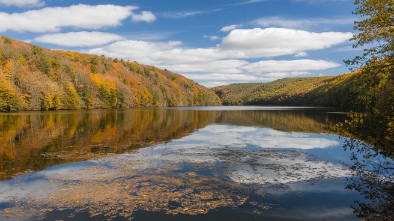 chestnut hill reservoir