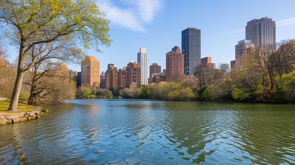 emerald necklace