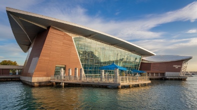 new england aquarium